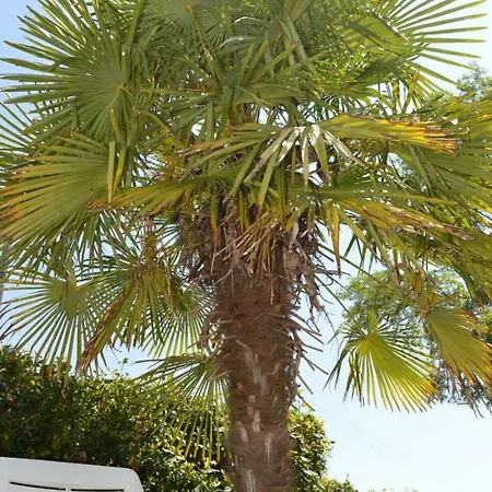 Les Hirondelles Holiday home